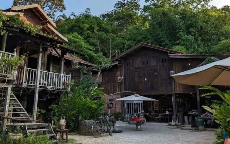 IMG 20230714 164656 800 x 500 pixel