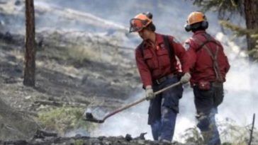 IMG 20230715 081322 800 x 500 pixel