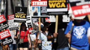 IMG 20230715 095146 800 x 500 pixel