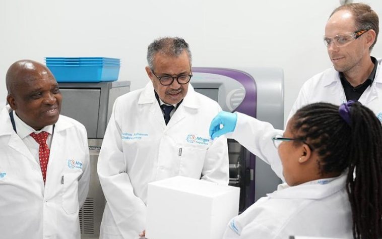 IMG 20230716 212259 800 x 500 pixel