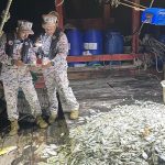 IMG 20230718 104954 800 x 500 pixel