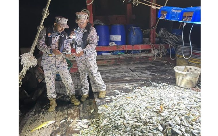 IMG 20230718 104954 800 x 500 pixel