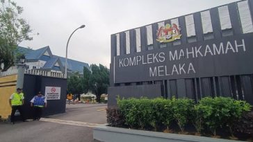 IMG 20230718 160331 800 x 500 pixel