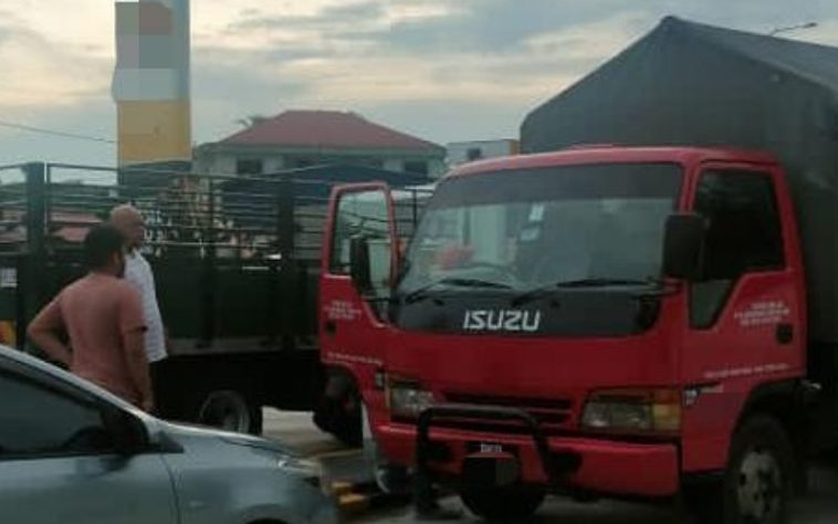 IMG 20230720 113302 800 x 500 pixel