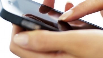 IMG 20230721 095241 800 x 500 pixel