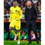 IMG 20230721 103005 800 x 500 pixel