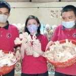 IMG 20230723 124424 800 x 500 pixel