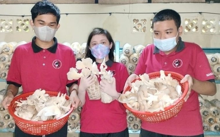 IMG 20230723 124424 800 x 500 pixel