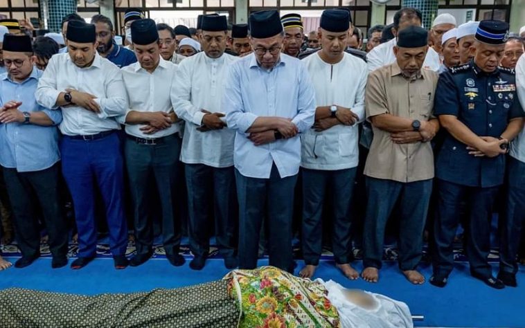 IMG 20230725 063247 800 x 500 pixel