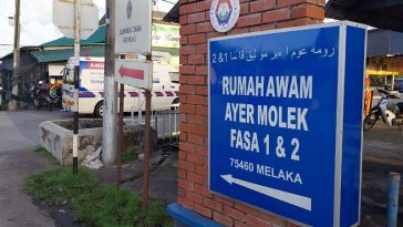 IMG 20230725 083954 800 x 500 pixel