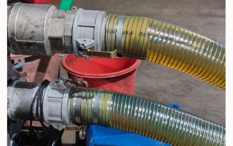 IMG 20230727 094033 800 x 500 pixel