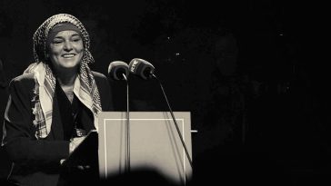 IMG 20230727 160957 800 x 500 pixel