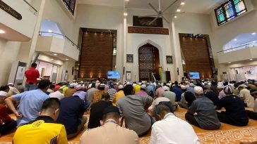 IMG 20230728 123256 800 x 500 pixel