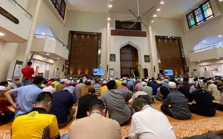 IMG 20230728 123256 800 x 500 pixel