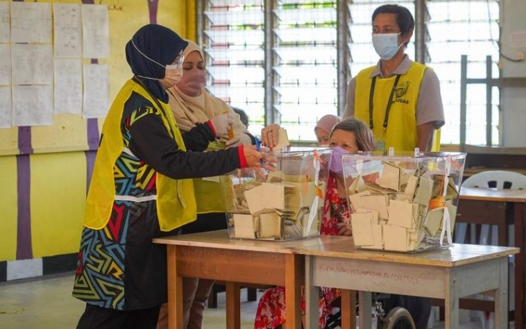 IMG 20230729 093456 800 x 500 pixel