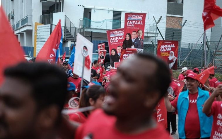 IMG 20230729 104044 800 x 500 pixel