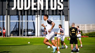 IMG 20230729 112718 800 x 500 pixel