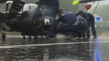 IMG 20230729 130516 800 x 500 pixel