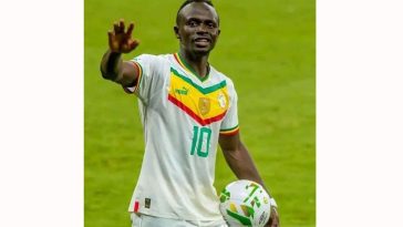 IMG 20230729 141745 800 x 500 pixel