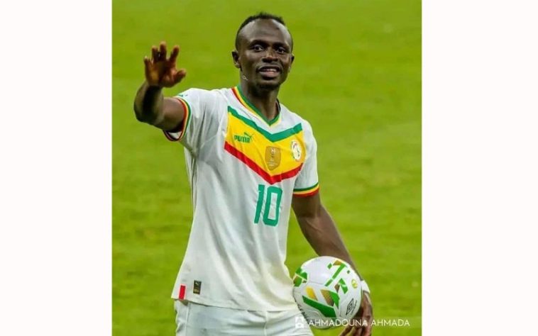 IMG 20230729 141745 800 x 500 pixel