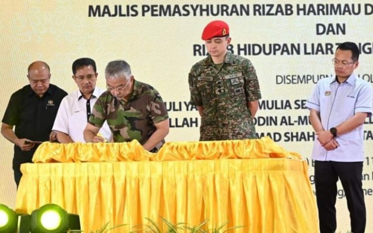 IMG 20230729 160913 800 x 500 pixel