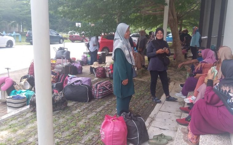 IMG 20230729 223419 800 x 500 pixel