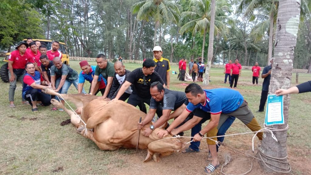 WhatsApp Image 2023 07 01 at 7.44.24 PM