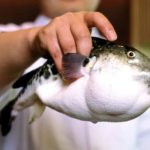 WhatsApp Image 2023 07 03 at 5.17.30 PM 1