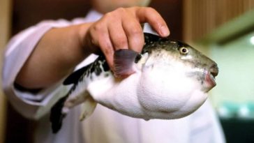 WhatsApp Image 2023 07 03 at 5.17.30 PM 1