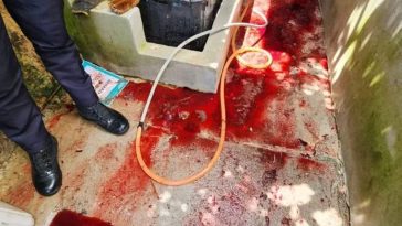 WhatsApp Image 2023 07 03 at 9.11.40 PM