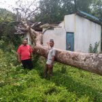 WhatsApp Image 2023 07 17 at 4.17.26 PM