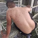 WhatsApp Image 2023 07 27 at 4.24.11 PM