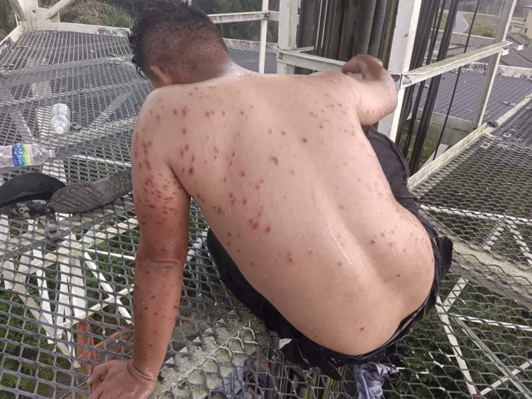 WhatsApp Image 2023 07 27 at 4.24.11 PM