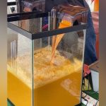 Penjualan air akuarium berisiko terdedah bahan toksin, punca penyakit kronik 8 air akuarium