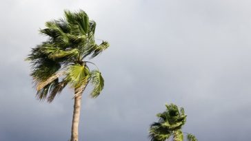 istock 996797474 ratio 16x9 1