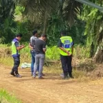 photo1689840525 1689841599