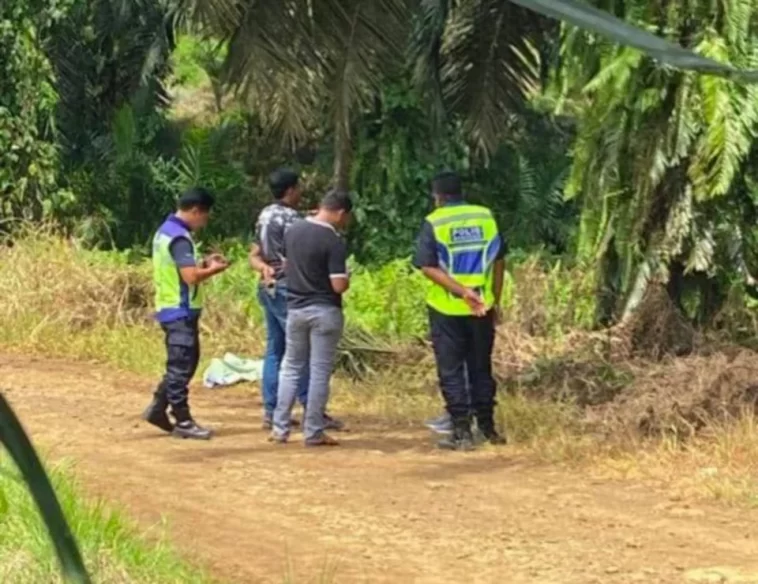 photo1689840525 1689841599