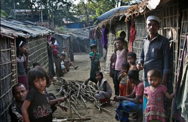 rohingya 1
