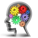 IMG 20230803 115824 800 x 500 pixel