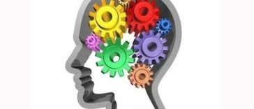 IMG 20230803 115824 800 x 500 pixel