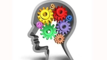 IMG 20230803 115824 800 x 500 pixel