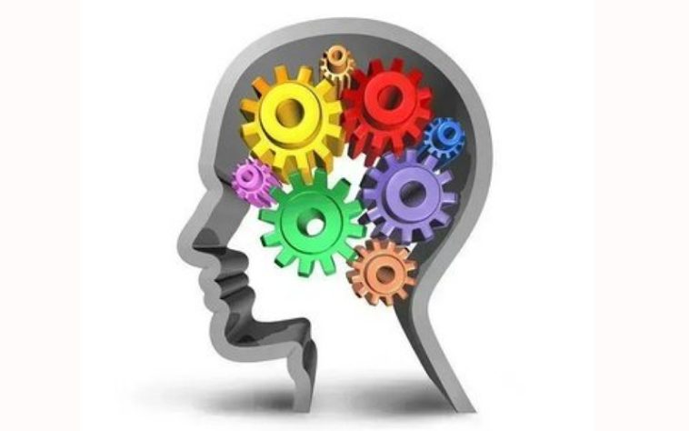 IMG 20230803 115824 800 x 500 pixel