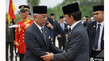 IMG 20230803 143010 800 x 500 pixel