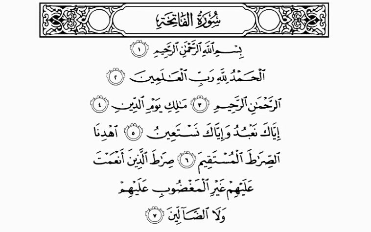 IMG 20230803 151227 800 x 500 pixel