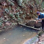 IMG 20230803 184826 800 x 500 pixel