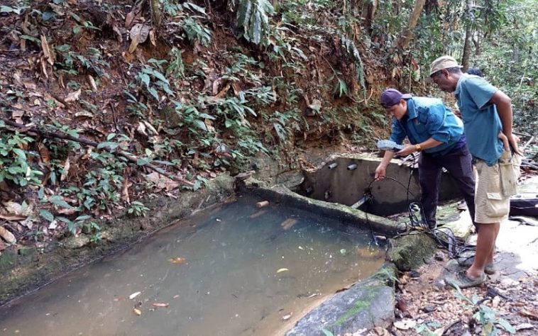 IMG 20230803 184826 800 x 500 pixel