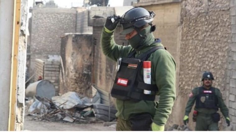 IMG 20230804 152153 800 x 500 pixel