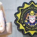 IMG 20230807 180911 800 x 500 pixel