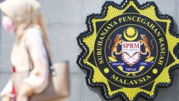 IMG 20230807 180911 800 x 500 pixel