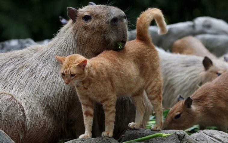 IMG 20230808 184013 800 x 500 pixel